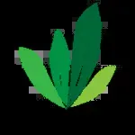 Shafa Marwa company icon