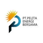 PT Pelita Bioenergi Nusantara company icon