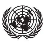 United Nations company icon
